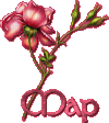 rosemap.gif - 5217 Bytes